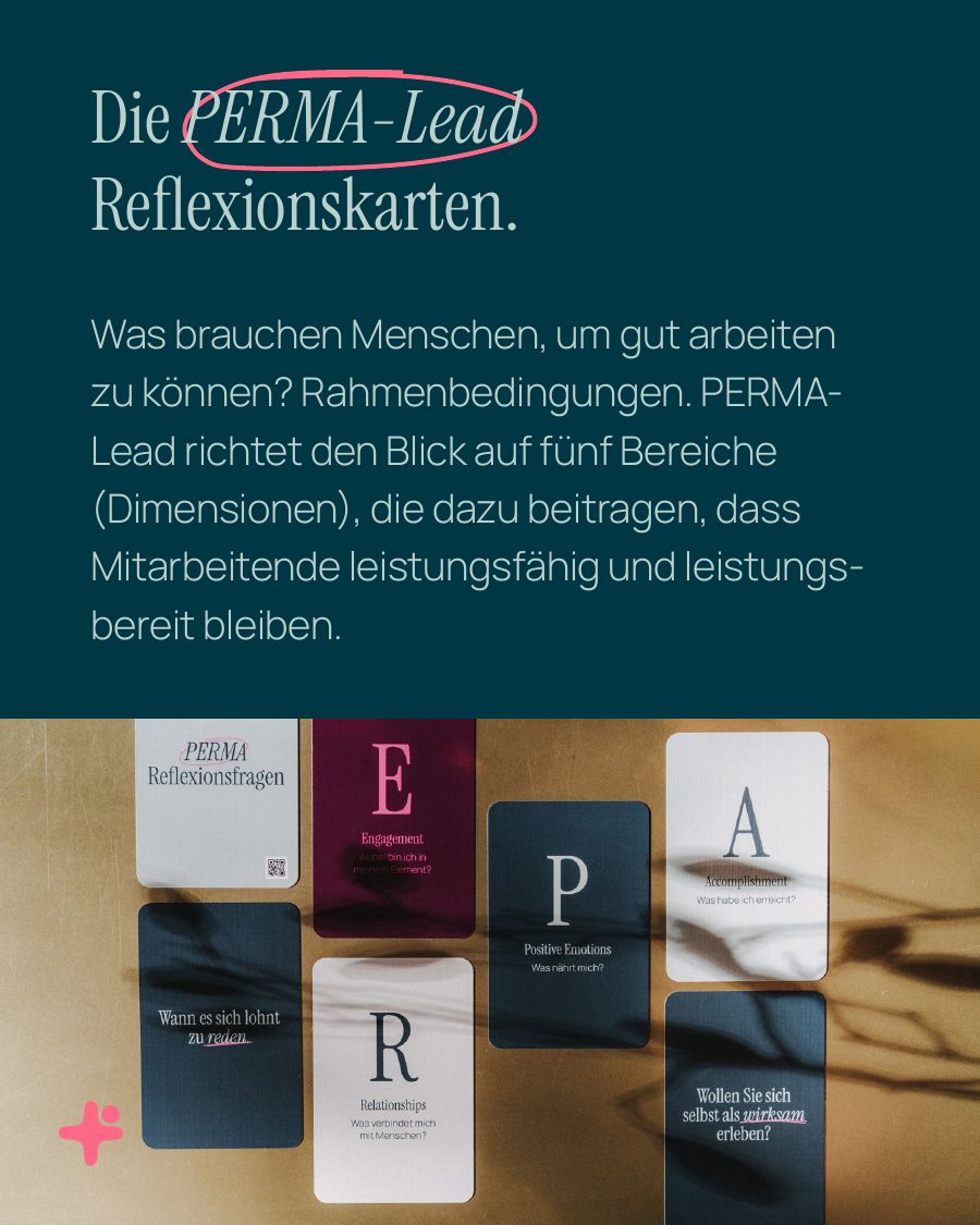 Vorlage Produkt PERMA-Lead Reflexionskarten